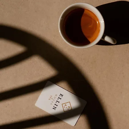 Ellin & Ξενοδοχείο Kallithea (Chalkidiki)