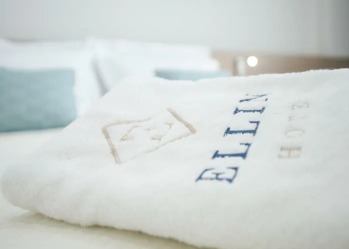 Hotel Ellin &